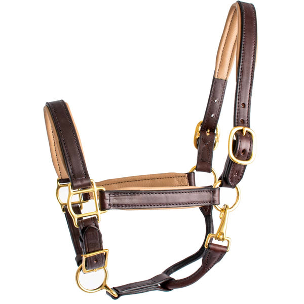 Quiet Creek Two Tone Padded Leather Halter - Havana
